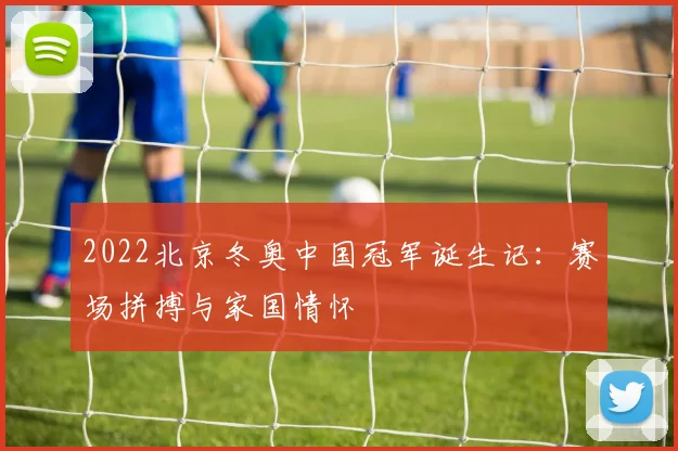 2022北京冬奥中国冠军诞生记：赛场拼搏与家国情怀