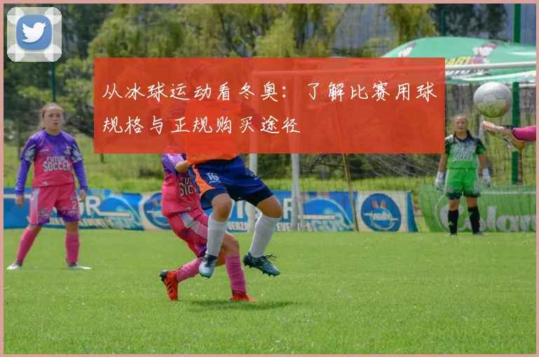 从冰球运动看冬奥：了解比赛用球规格与正规购买途径