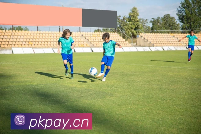 开云在线登陆入口发展历程